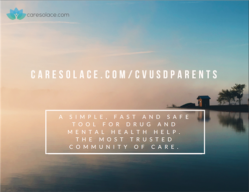 English description of CARESOLACE 